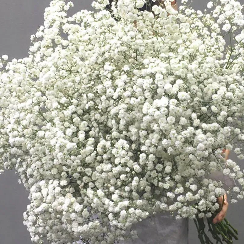 Dekorativa blommor Immortal Gypsophila Natural Torked For Wedding Home Decor and Shop Office Decoration 70g/mycket lång cirka 50 cm