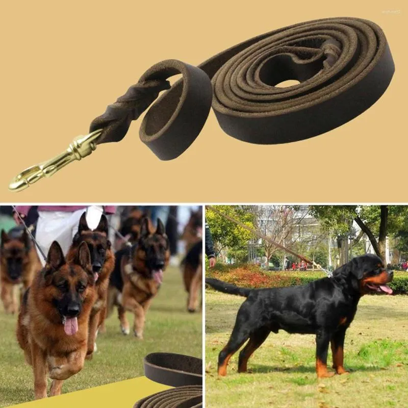 Collari per cani 1 pezzo guinzaglio in pelle intrecciata durevole guinzagli da addestramento per camminare per prodotti per animali da pastore tedesco cani di taglia media