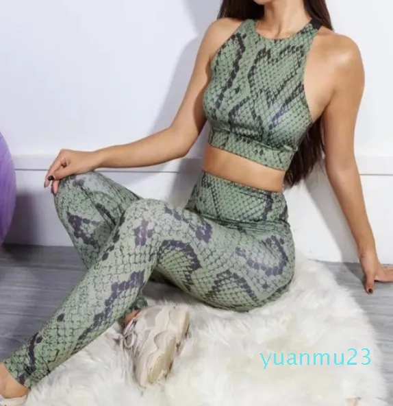DHgate.com:Womens Animal Print Yoga Leggings and Sports Bra Set, Green Snake  Skin Workout Clothes, Sexy Fitness Activewear Crop Top and Tights:Sports \u0026  Outdoors