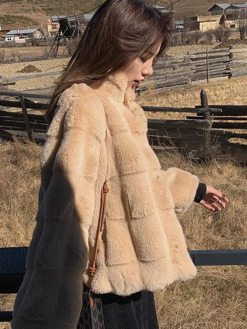 Manteau en fausse fourrure pour femme, veste chaude en peluche de vison, vêtements d'hiver solides, à la mode, 2024
