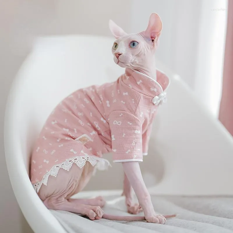 Costumi per gatti Vestiti Sphynx Gonna di pizzo Cheongsam addensato autunnale Gattino per animali senza peli Devon