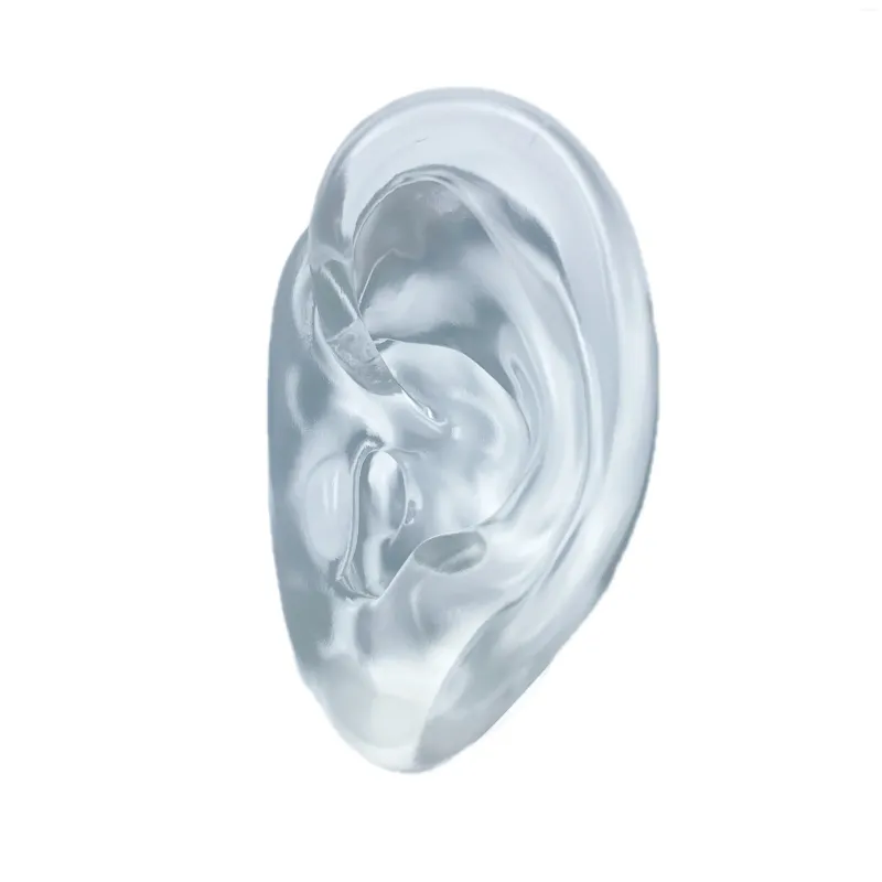 Torebki biżuterii przezroczyste silikonowe modele ucha kolczyka stojak na nakłucie kutasa ćwiczenia przebijające słuchawki