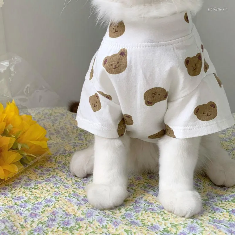 Trajes de gato roupas de cachorro primavera e verão fino anti-derrubado boneca de lã bebê fofo urso de estimação estampa de urso