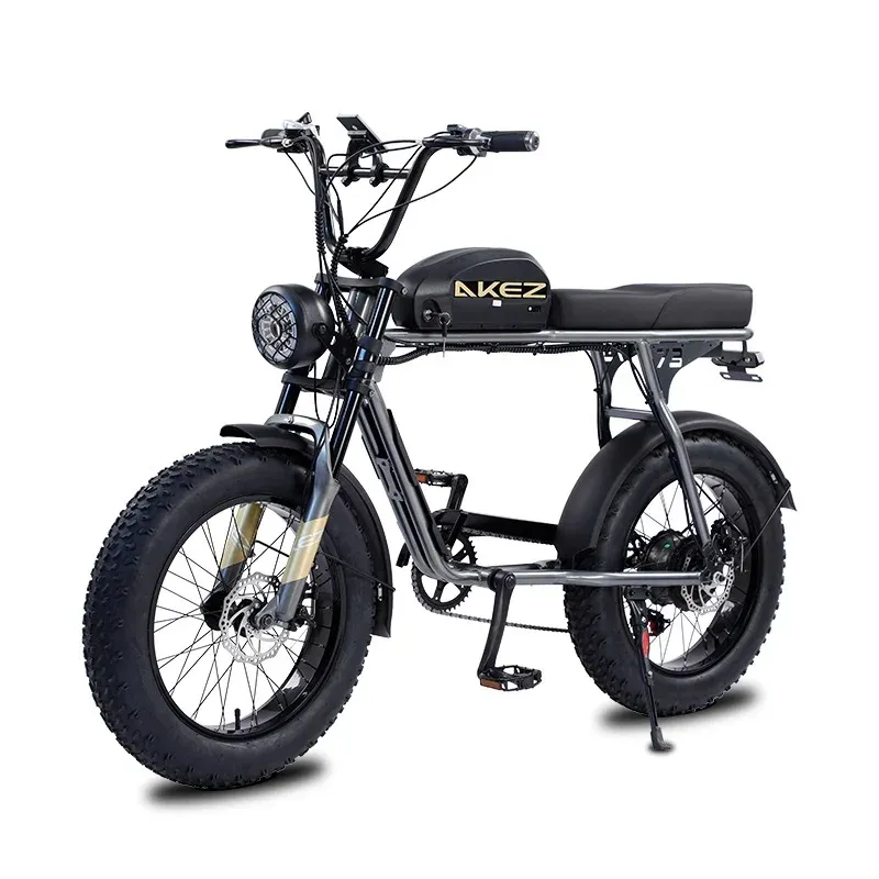 20 Inch Electric Bike Fat Tire 48V 750W 1500W Electric Bicycle For Adults S3RX eBike With Removable Battery