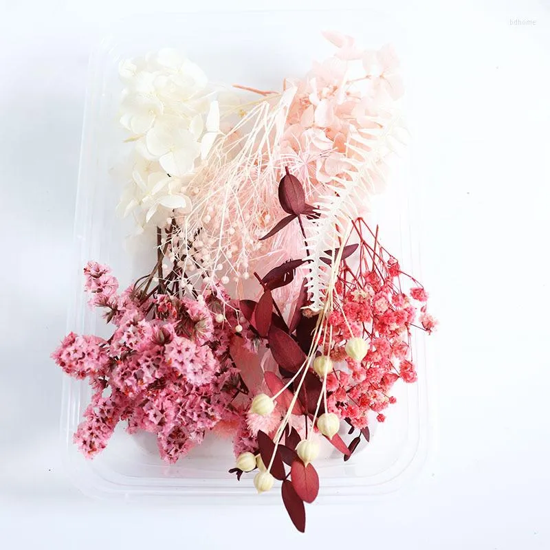 Dried Flowers For Decoration Rich Variety Natural Dried For Resin