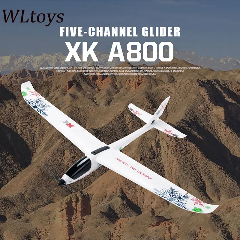 ElectricRC Aircraft Original Wltoys A600 F949アップデートバージョンA800 5CH 3D6GシステムプレーンRC飛行機Quadcopter固定翼ドローン230407