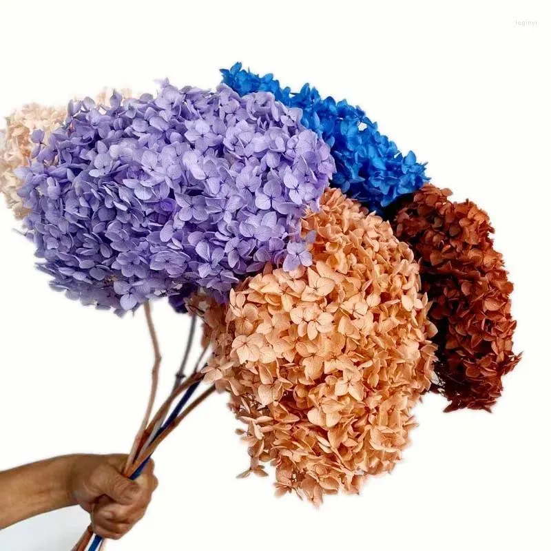 Декоративные цветы 15-20 см голова/длина 35 см настоящие натуральные сушеные консервированные цветочные ветки гортензии с шестом вечная роза сухие гортензии для