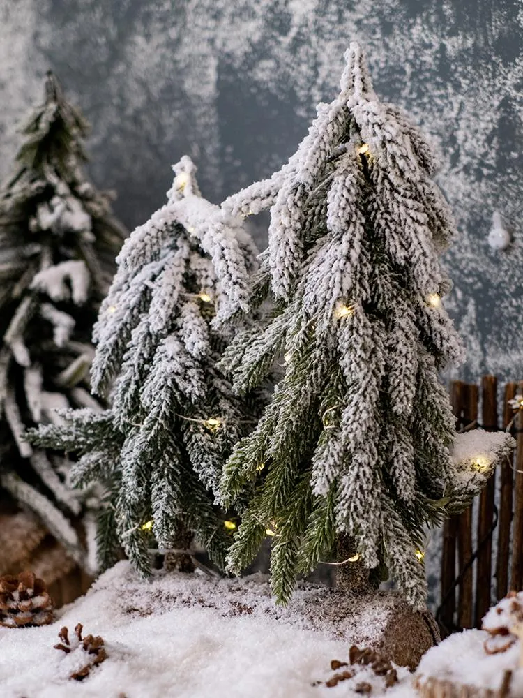Dekoracje świąteczne małe cedrowe drzewo świąteczne ozdoby okienne kawa strefa atmosfera Rośliny rośliny
