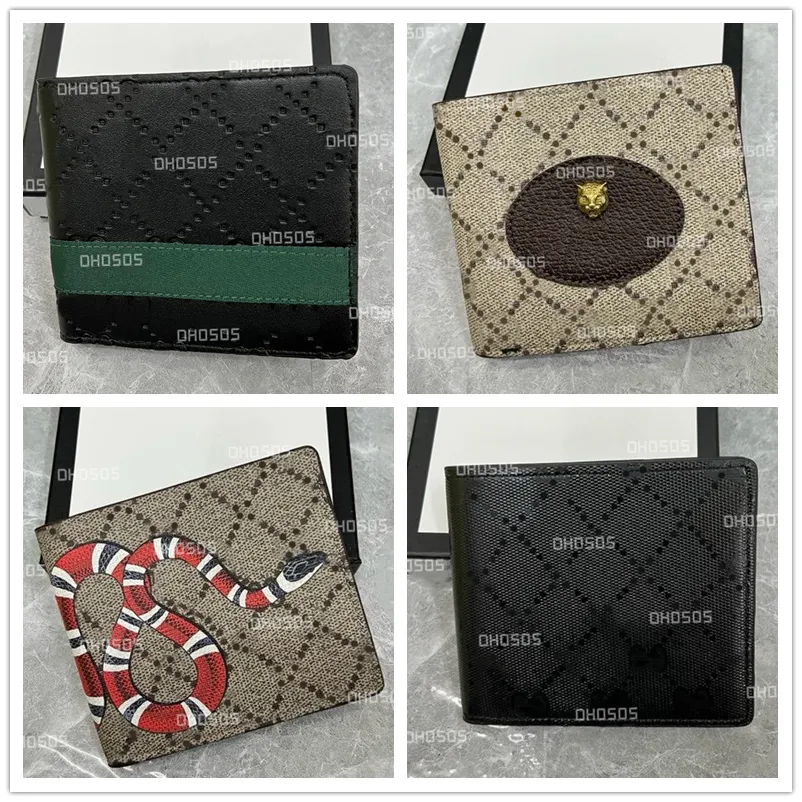 Mode Tierdruckmuster Designer 15 Farben Männer Kurze Brieftasche Leder Schwarze Schlange Tiger Biene Frauen Luxus Geldbörse Kreditkarte Kartenhalter Mann Geldbörsen Mit Box