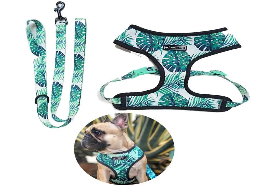 Arnês para animais de estimação para buldogue francês, coleiras para cães pequenos e médios, pug, filhote de cachorro, colete para animais de estimação, coleira para caminhada, produtos para animais de estimação 2104169079124