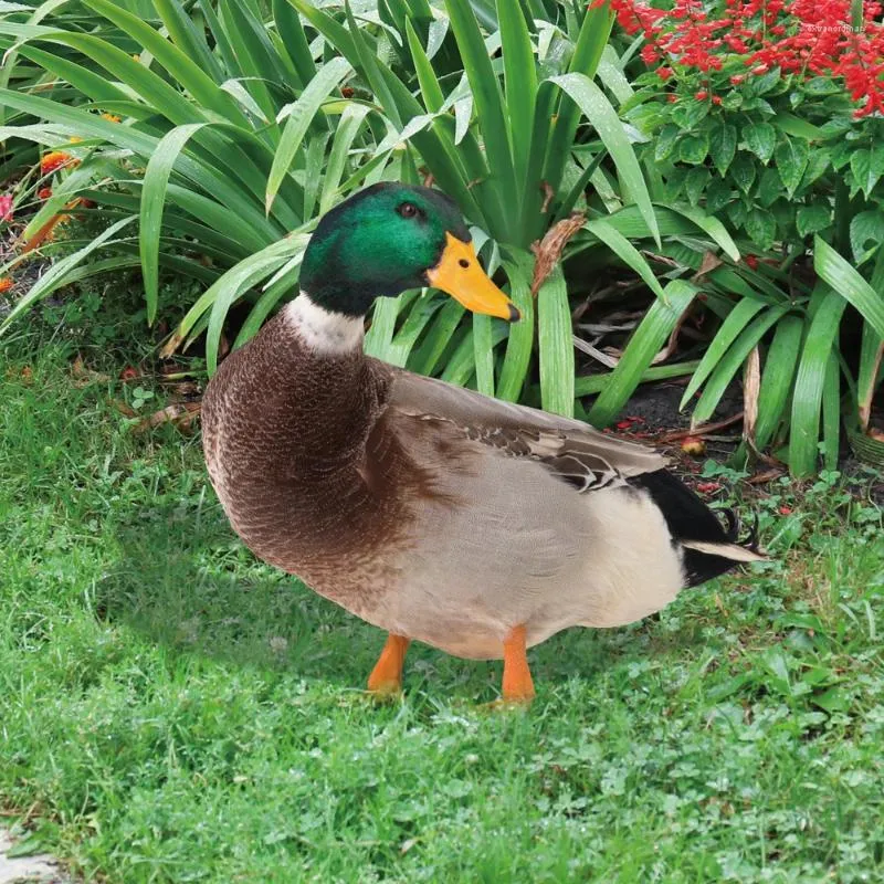 زخارف حديقة تمثال الدواجن واقعية الزينة الصديقة للبيئة الفناء الفني النحت Duck Decor