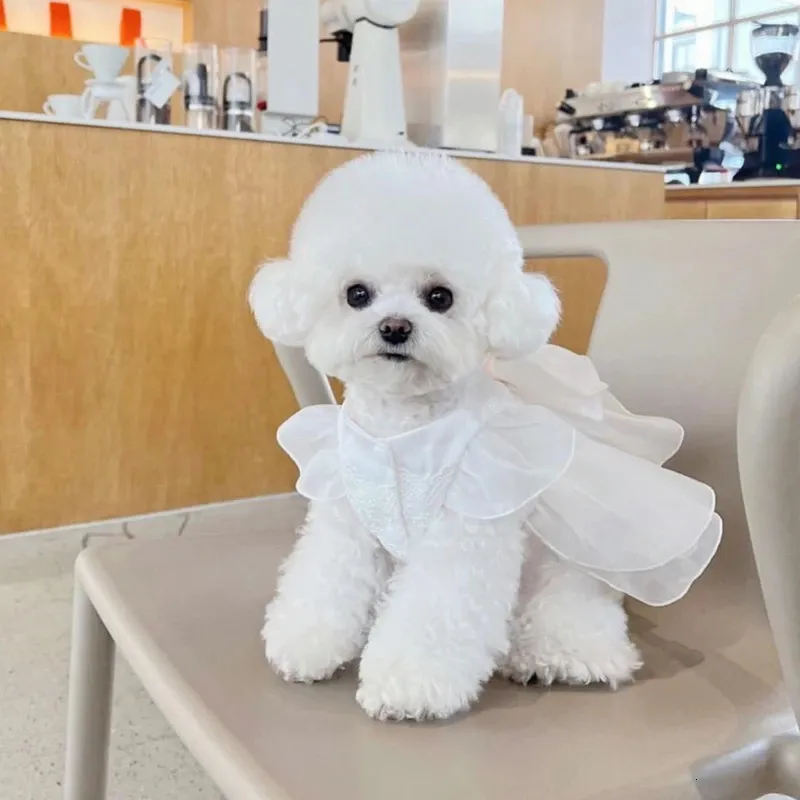 Dog Apparel Cute Summer Dog Dress Wedding Dog Dress Cat Party Thin Elegant  Girl Pet Princess Dress Dog Dress 231109 From Guan009, $11.83 | DHgate.Com