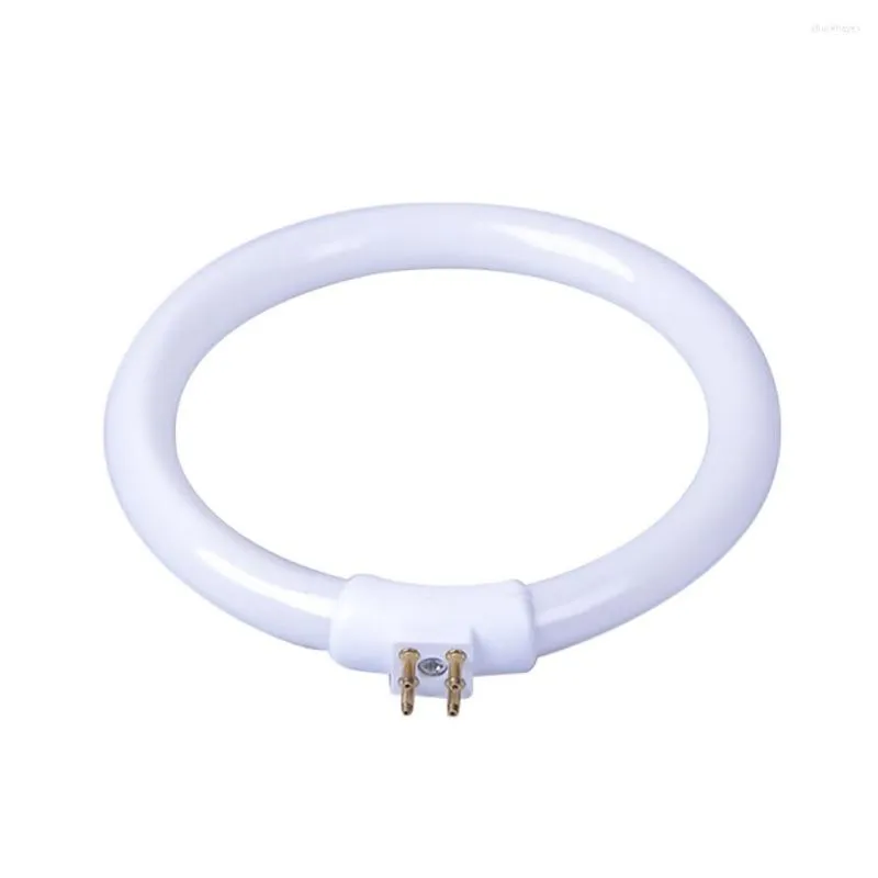 Tube de lampe rond lumière annulaire avec 4 broches LED 220V blanc goutte en gros