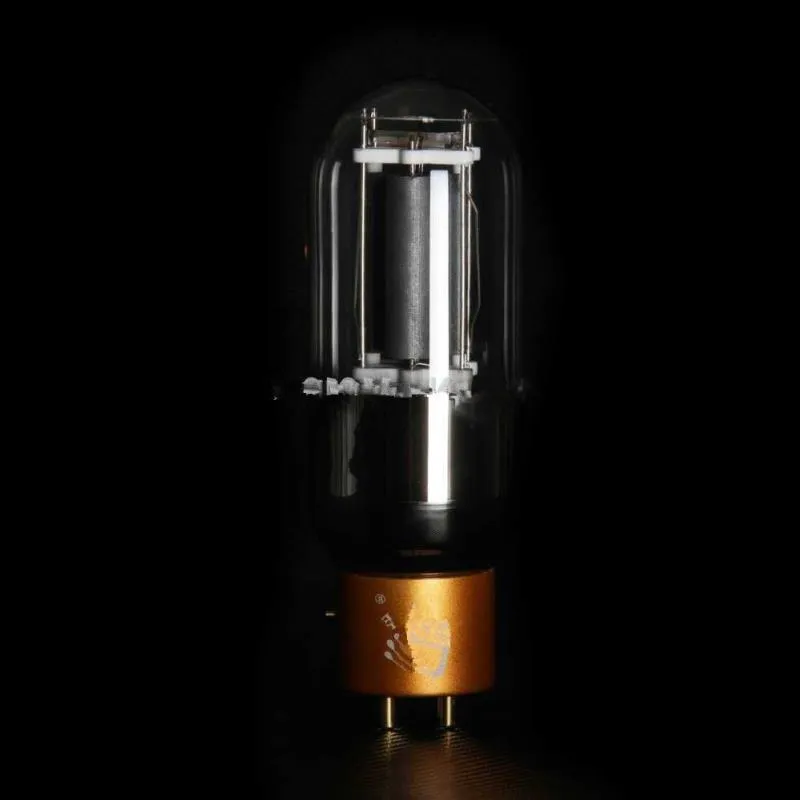 Livraison gratuite PSVANE 845-TII Tube à vide Mark TII Series Collection Edition HIFI EXQUIS usine assortie 845 électrons Jhxbi