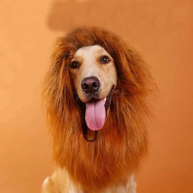 Inne zaopatrzenie psa Pet Pies Dog Lion Mane Wig Cap Hat for Cat Dog Halloween Costume Dekoracja Kostium Duże psy Cosplay Pet Akcesoria 231110