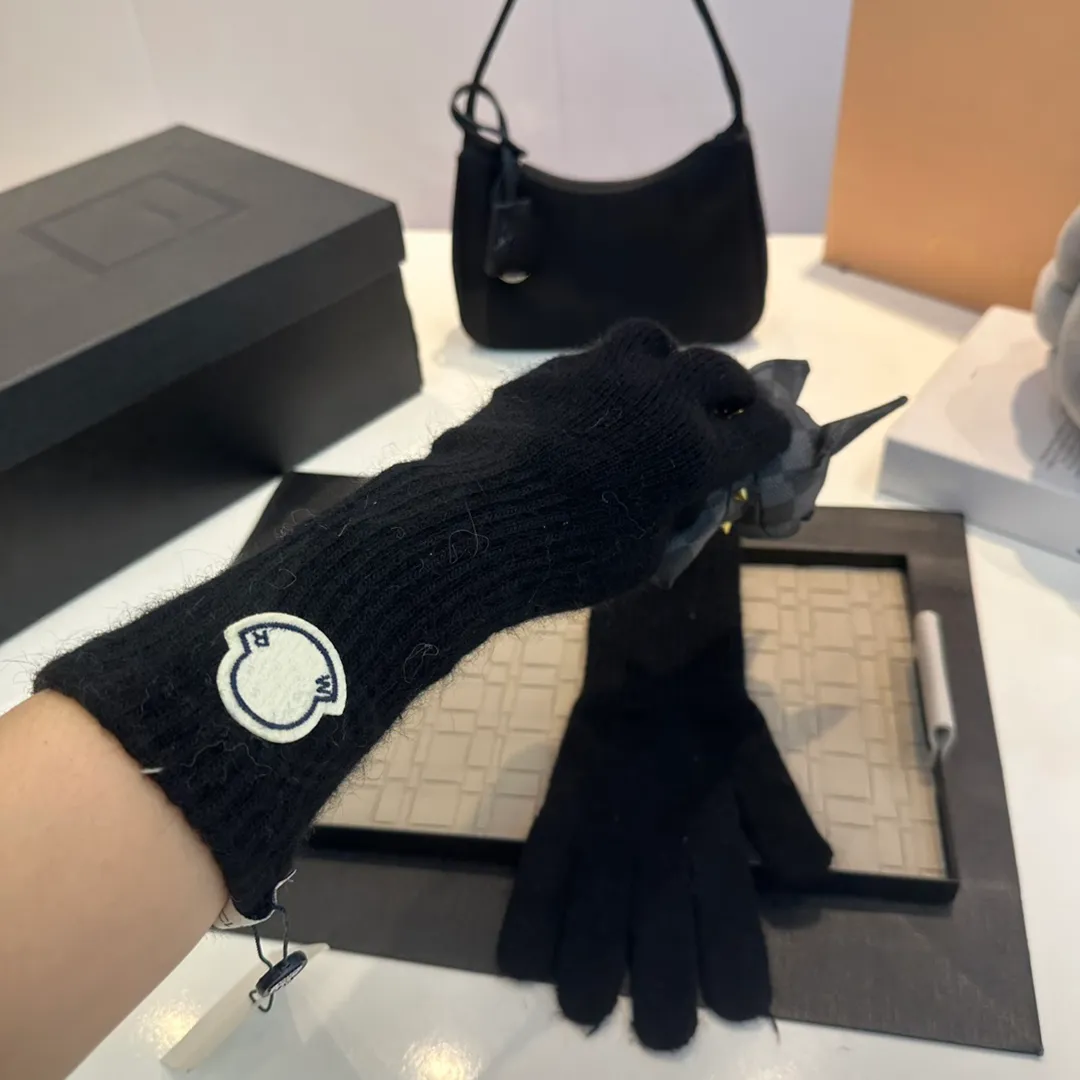 Перчатки дизайнерские перчатки роскошные перчатки дизайнерские однотонные перчатки с буквенным дизайном теплые женские перчатки Рождественский подарок темперамент универсальный стиль
