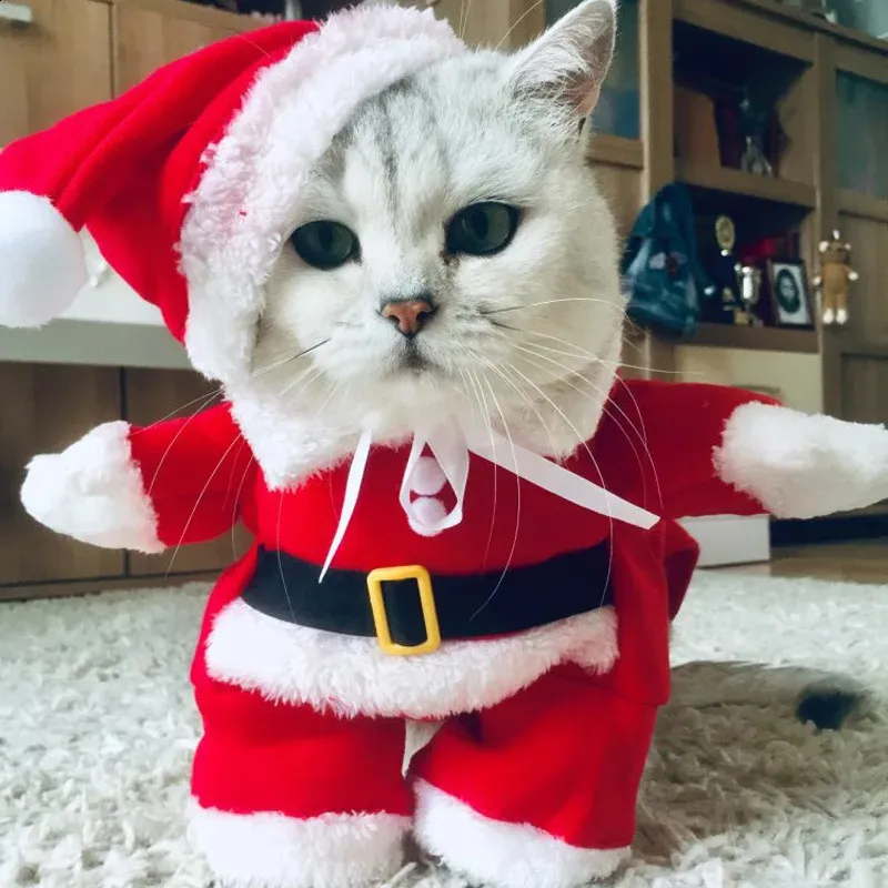 Dog santa costume xxl cheap