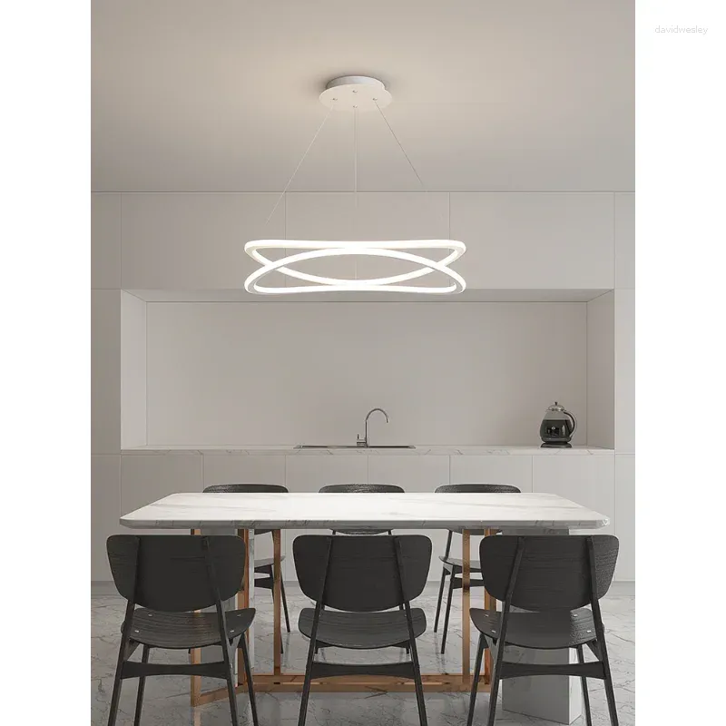 Kroonluchters Verlichting LED-ring Scandinavisch modern geborsteld kunsthuisverlichting Plafond gemonteerd in woonkamer Slaapkamer Hanglampen Lustres