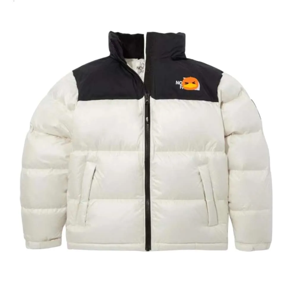 Designer North Faced Giacca da donna di alta qualità Uomo NF0A3C8D Piumini Cappotti Designer Puffer Peak Viola Unisex Manica lunga con cappuccio Cappuccio imbottito Acqua