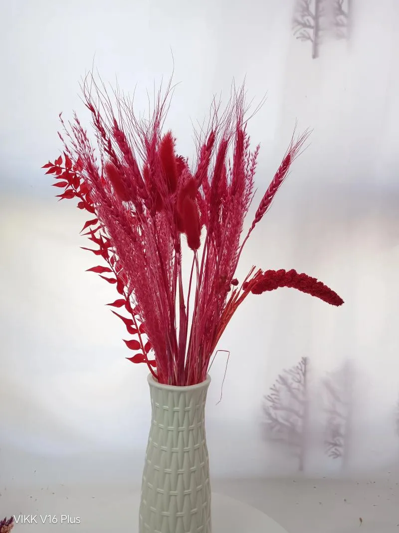 Flores decorativas 60 peças de buquê de flores de junco vermelho seco ramo de grama de pampas decoração de casamento família