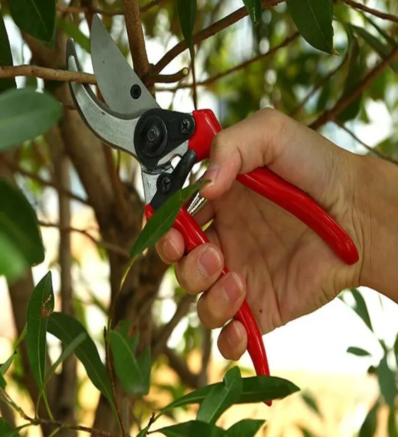 door dhl of ems 50 stuks praktisch en ergonomisch bloemensnijder enten gereedschap schaar snoeischaar tuintrimmer cutter4787549