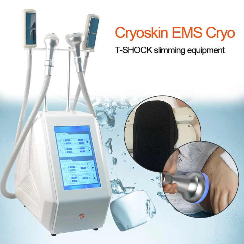 EMS Cool T Shock Cryoskin Machine Equipment Portable Hot and Cold Skin Tightening Weight Loss Body Slimming Machine