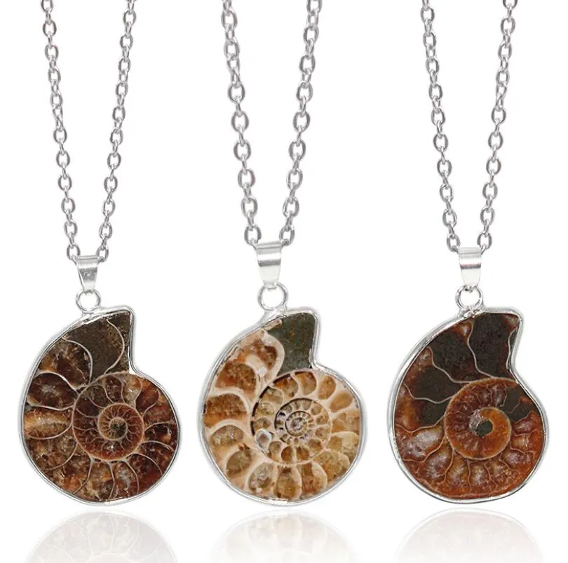 Natural Spotted Colorful Snail Pendant Nautilus Electropated Necklace Chrysanthemum Halsband smycken Bohemian