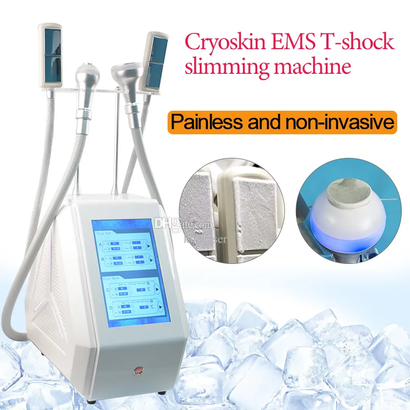 Portable cryo thermique réduction de graisse ems tonifiant cryothérapie cryo t-choc corps minceur cryoskin pour le corps du visage