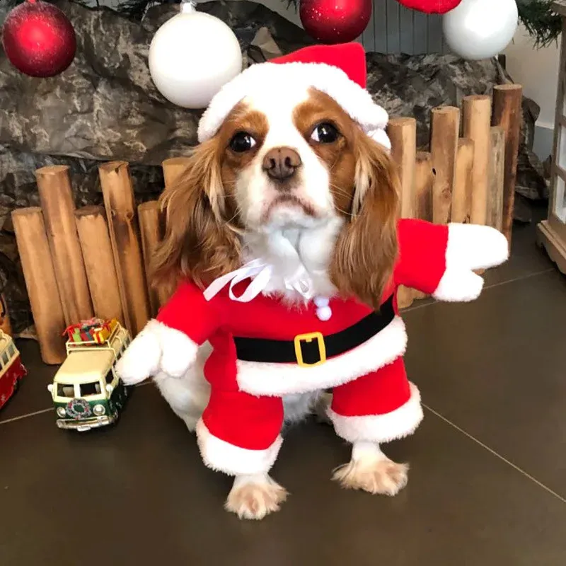 Santa Claus Christmas Costume For Dogs And Cats Warm Red Sizes S