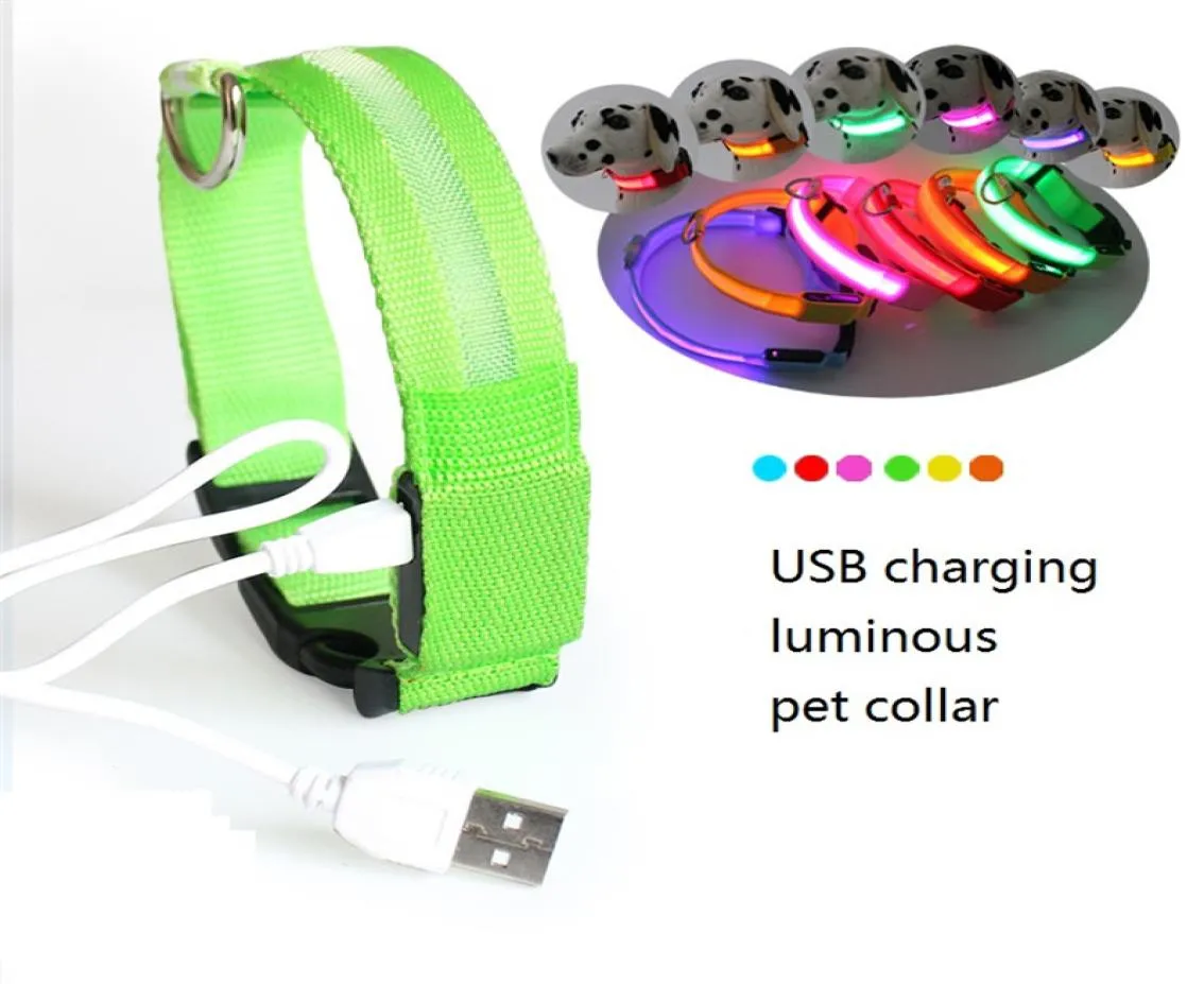 LED PET -krage USB -laddningsbar LED -hundkrage nattsäkerhet blinkande valp nylon krage med USB -kabel laddning1205528