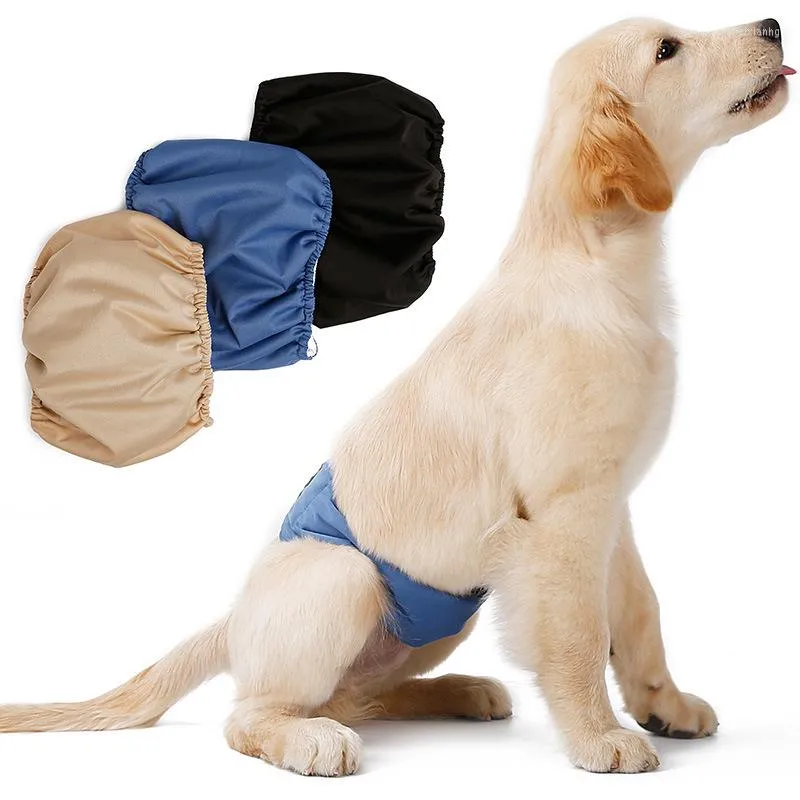 Vêtements pour chiens pantalons physiologiques couches sanitaires lavables femmes Shorts culottes menstruations sous-vêtements slips CCYYF47