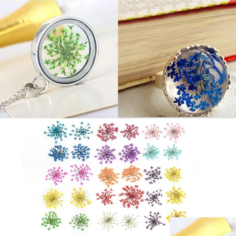 Other Festive Party Supplies 30Pcs/Set Pressed Dried Flower Dry Plants Pendant Necklace Jewelry Making Craft Diy Accessories For A Dhlpm