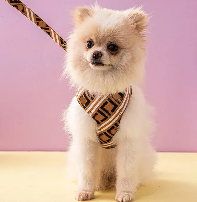 Coloque de cães de grife de cães e trelações definidas de couro estampado macio ajustável colarinho de colarinho de estimação de colarinho de estimação para cães pequenos chihuahua poodle ao ar livre durável