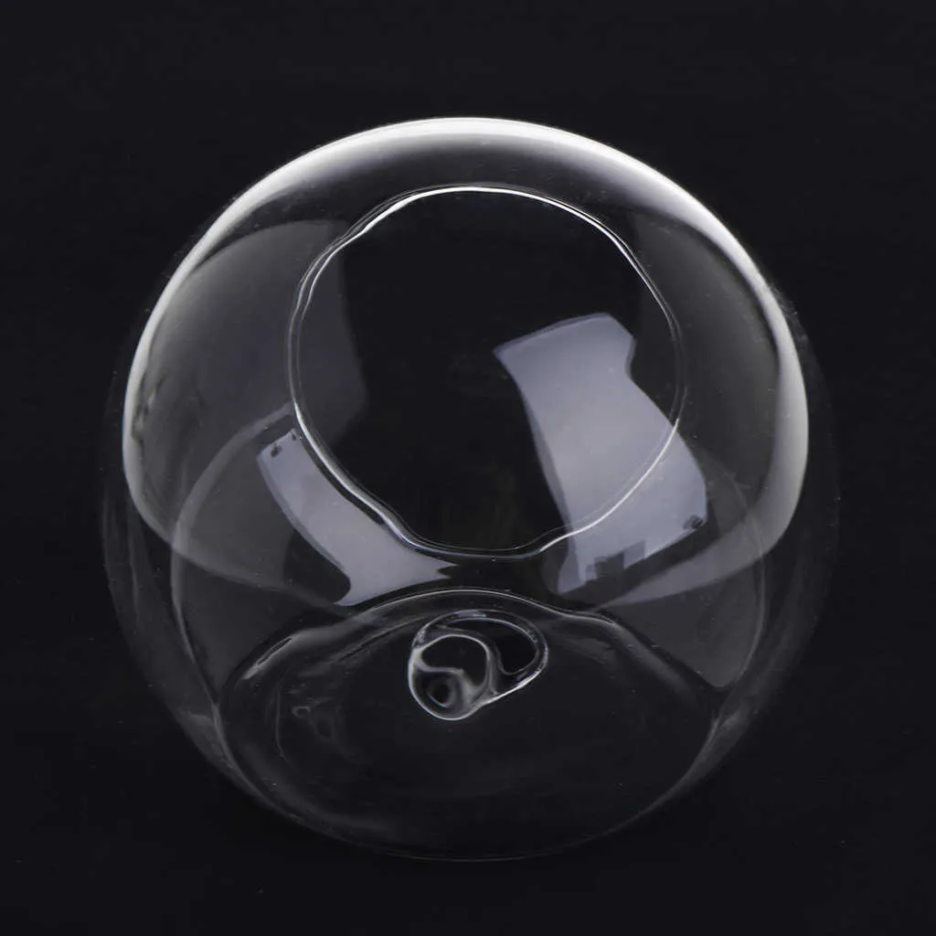 Terrario Idroponico Appeso A Parete Di Vetro Trasparente Piante, Vaso Di Fiori, Serbatoio Di Pesce, 8/10 Cm, Stile Moderno, Materiale In PVC, 2024 Da 13,55 € | DHgate