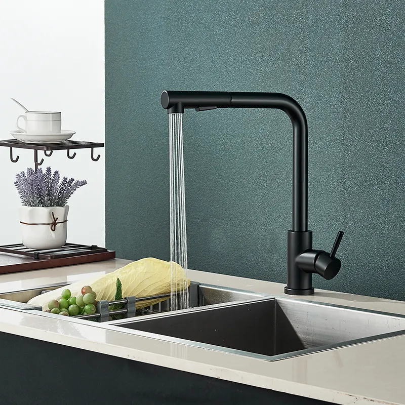 Kohler Touchless Faucet Costco Pull Out Sink Faucet 2 Function Spout