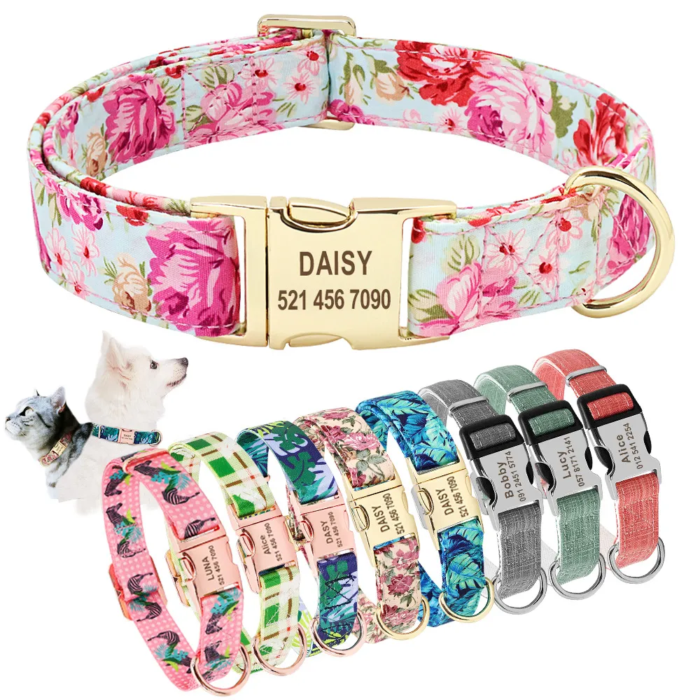 Personalized Nylon Puppy Collar And Tag Collar With Engraved Nameplate