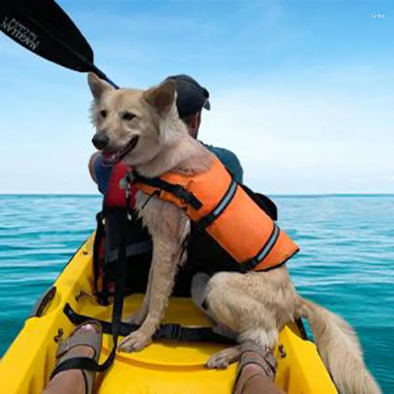 Hundebekleidung Schwimmweste Sommer Haustierjacke Kleidung Hunde Bademode Haustiere Schwimmanzug