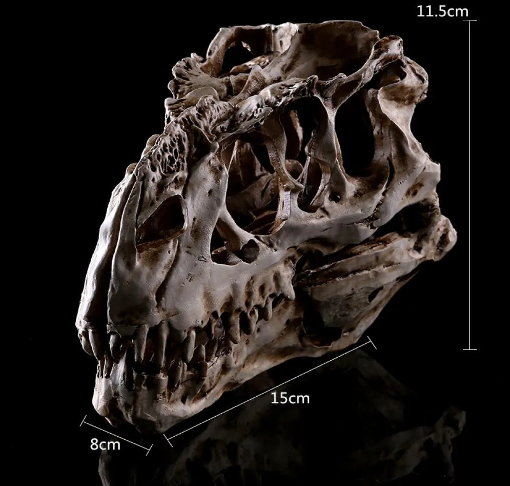 Tyrannosaurus dinozor reçine kafatası modeli öğretim Örnek sanat reçine hayvan iskeleti cadılar bayramı doğum günü hediye partisi ev dekor sanat 9022053