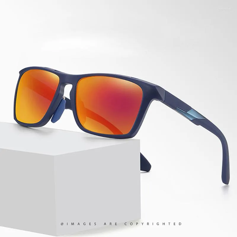 Солнцезащитные очки Doisyer модель дизайн поляризованный объектив TR90 Custom Shades Логотип оптом высококачественный ретро -спорт