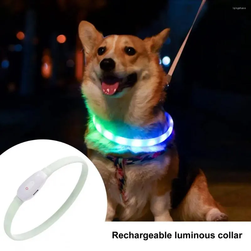 Led safety collars for dogs 2025