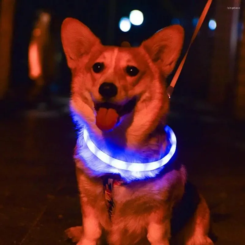 Led safety top collars for dogs