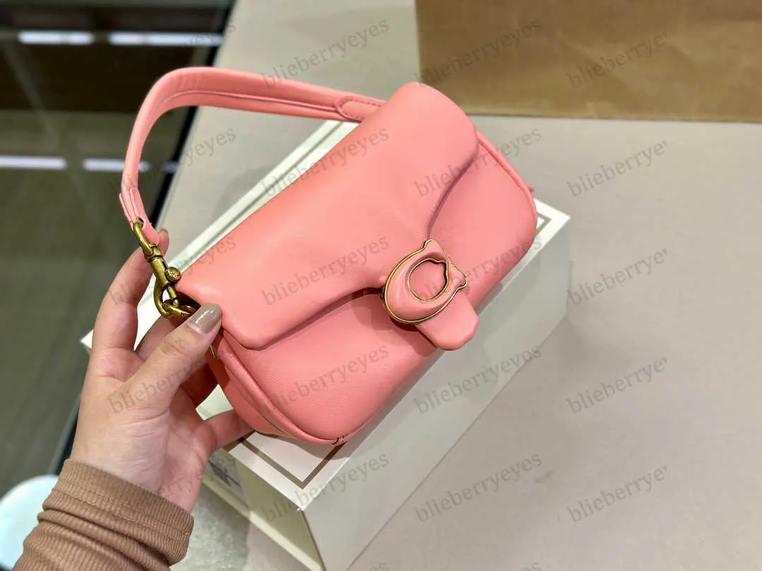 Woman Pillow Tabby Bags Sheepskin Designer Bags Luxury Shading Cloud Handbag Soft Pleated Purse Wallets Fashion Shoulder Bag Lady 20243 Top Bag 412W3