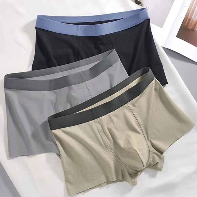 Underbyxor män bomullsboxare sömlösa underkläder sexig stor utbuktningspåse