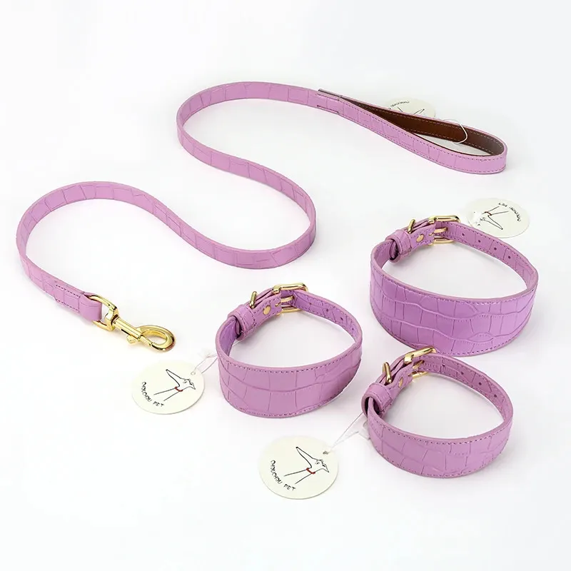 Dog Collars Leashes Purple Alligator Leather Wide Dog Collar Fits Greyhound Whippet and Italian Greyhound Mexican Hairless Dog Leash Set 231110