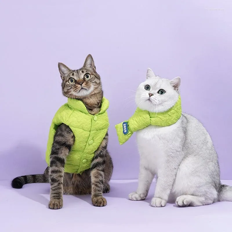 Kostiumy kota Pet Cotton Ubrania i kamizelka dla psów zima ciepła jesienna utrata przeciw hair