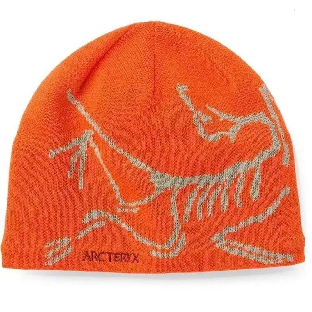 Antarctique Beanie Bird Hat Arc Men Hattop Quality Femme Boneie chaude Hiver Chatme Hommes Men de tricot Banie et femme Chapeaux de femme 608