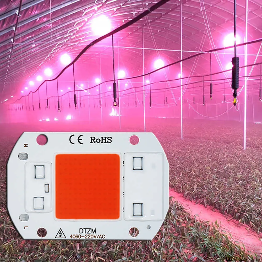 Whod Lights 1PCS Hydroponice AC220V10W 20W 30W 50W Cob Grow Light Light Chip Full Spectrum 380-840nm dla sadzonek roślin wewnętrznych i kwiat P230413