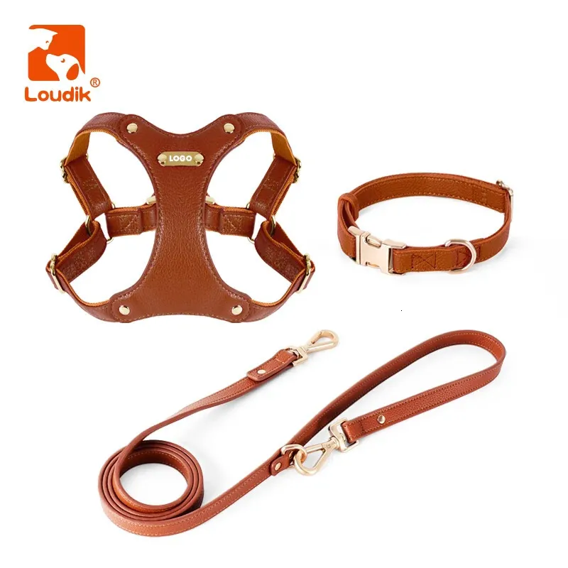 Hundhalsar Leases Loudik Luxury Leather Dog Harness and Leash Set ID Name Tryckt Inget drag justerbart litet medelstora stort husdjursledningar grossist 231110