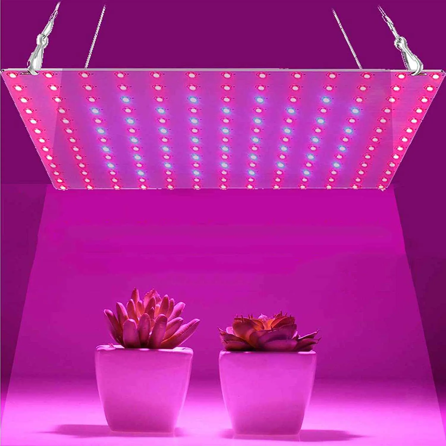 Büyüme Işıkları 81/169 LEDS 2000W 3000W kapalı LED Grow Işık Bitki Büyüyen Lamba Kırmızı Mavi Tam Spektrumu Kapalı Hidroponik Bitki P230413