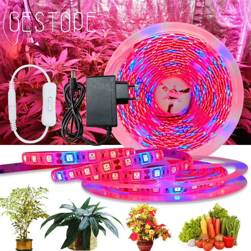 Grow Lights 20m LED Grow Light Spectrum DC12V USB Grow Light Strip LED -fytolampa för växter växthushydroponiska odling strömförsörjning full P230413
